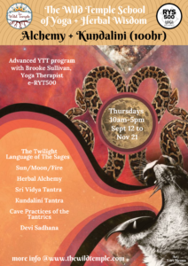 Alchemy+Kundalini flyer 2019
