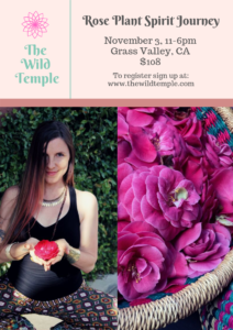 brooke sullivan the wild temple rose retreat yoga weekend workshop nevada city sacramento grass valley california